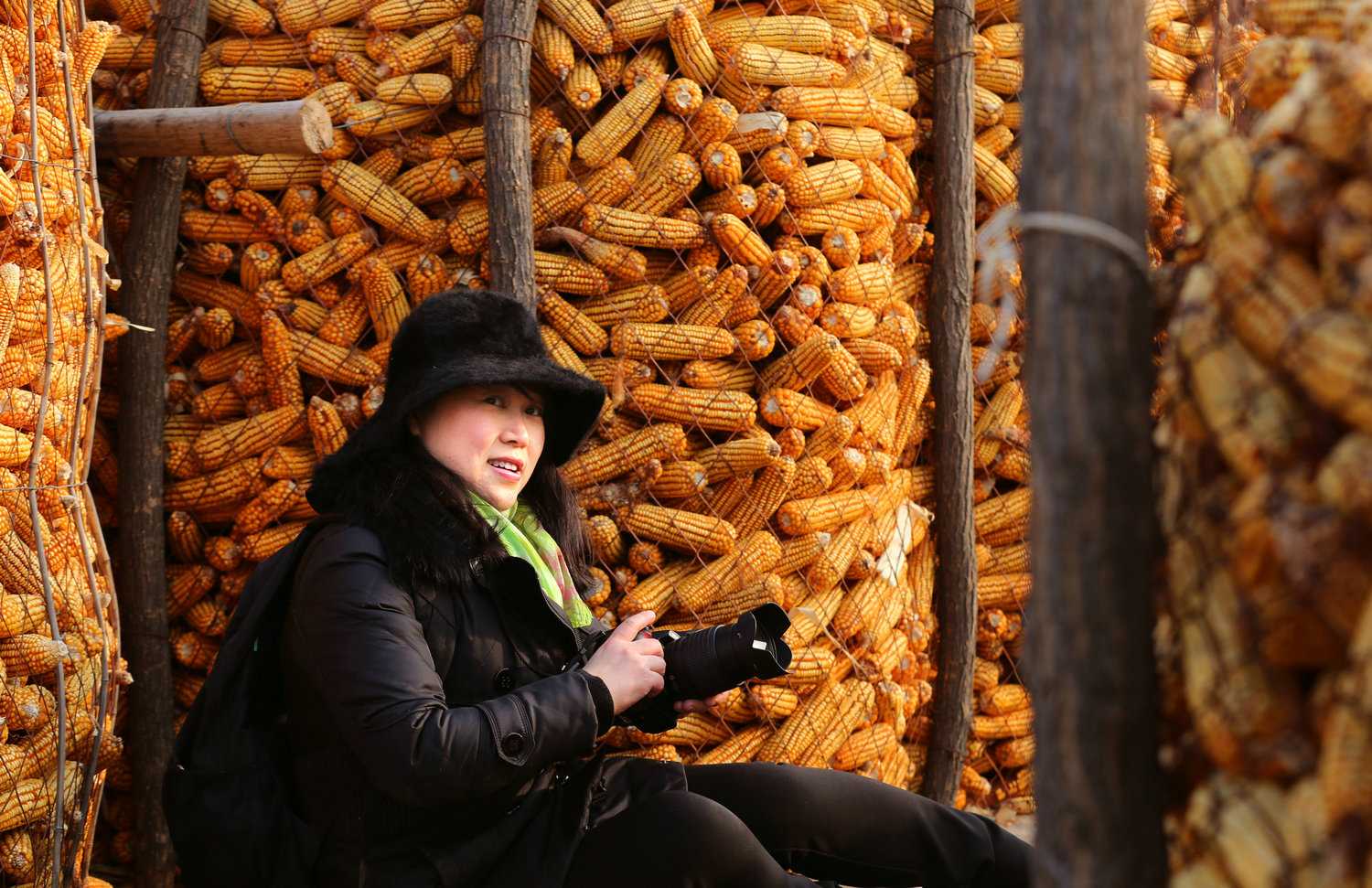 ȶ.jpg