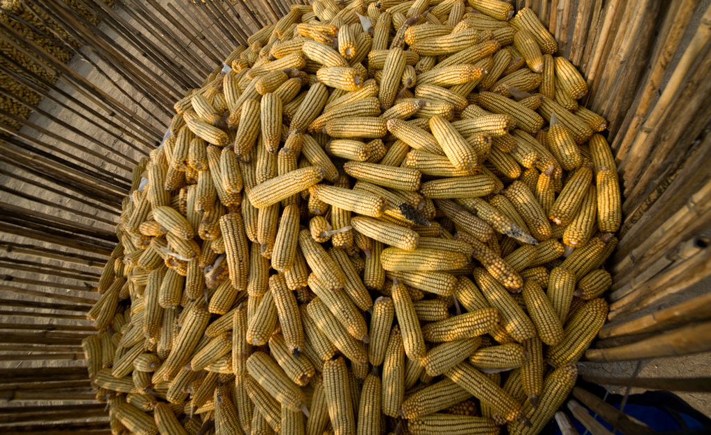 DSC_0493.jpg