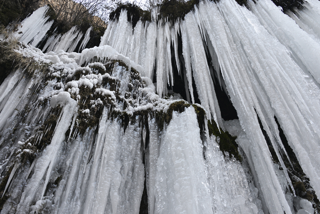 _DSC6860-.jpg