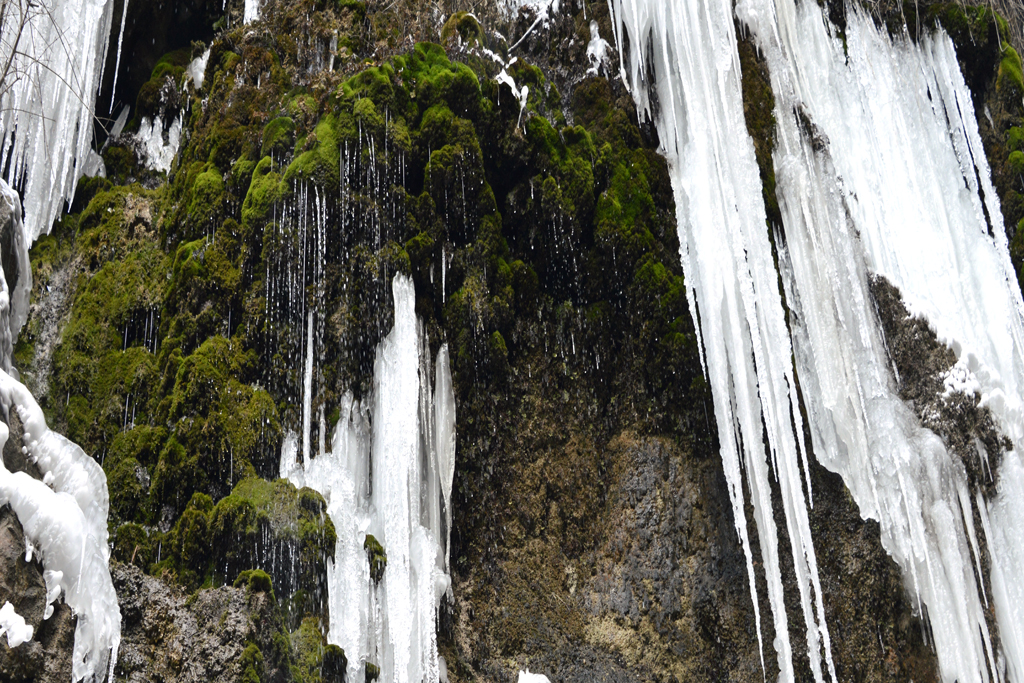 _DSC6918=.jpg