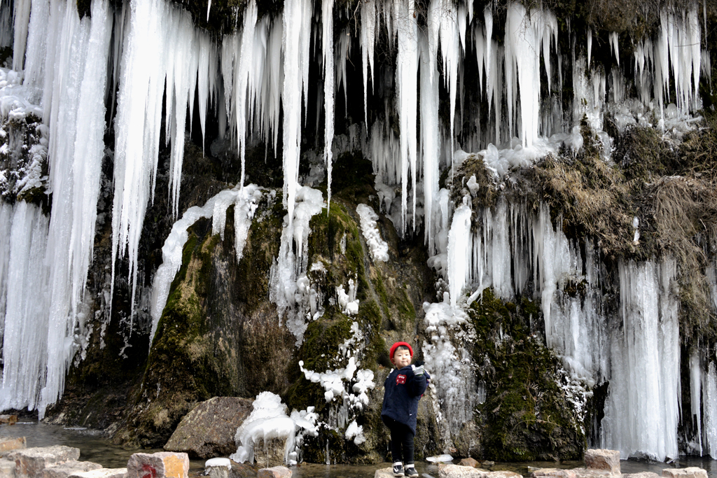_DSC7103-.jpg