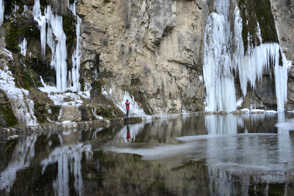 _DSC7030-.jpg