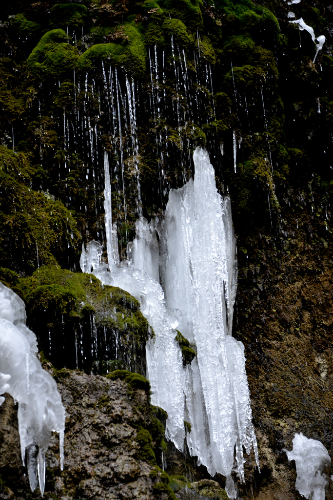 _DSC6914-.jpg