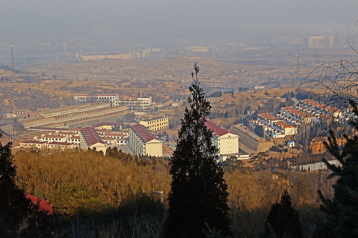 D11402.jpg
