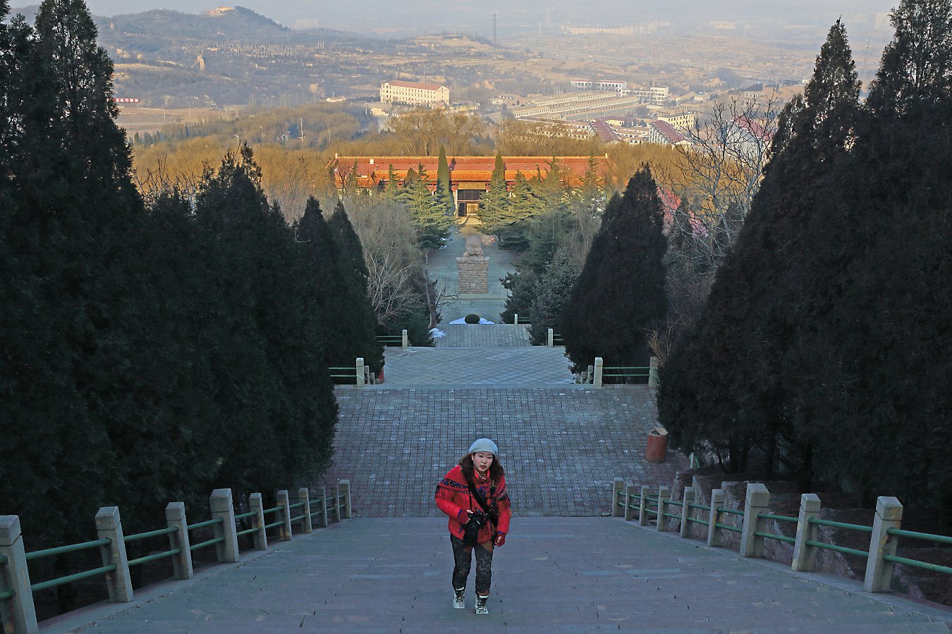 D11406.jpg