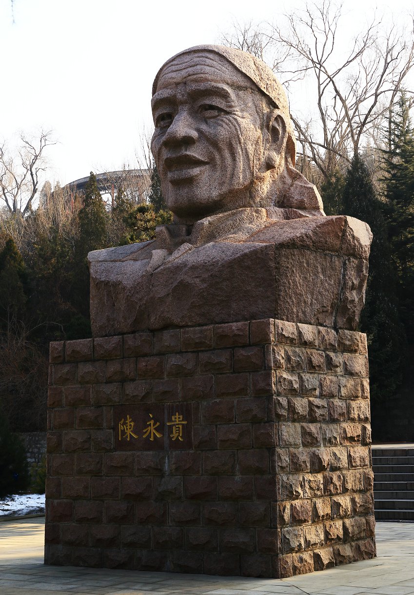 D11582.jpg