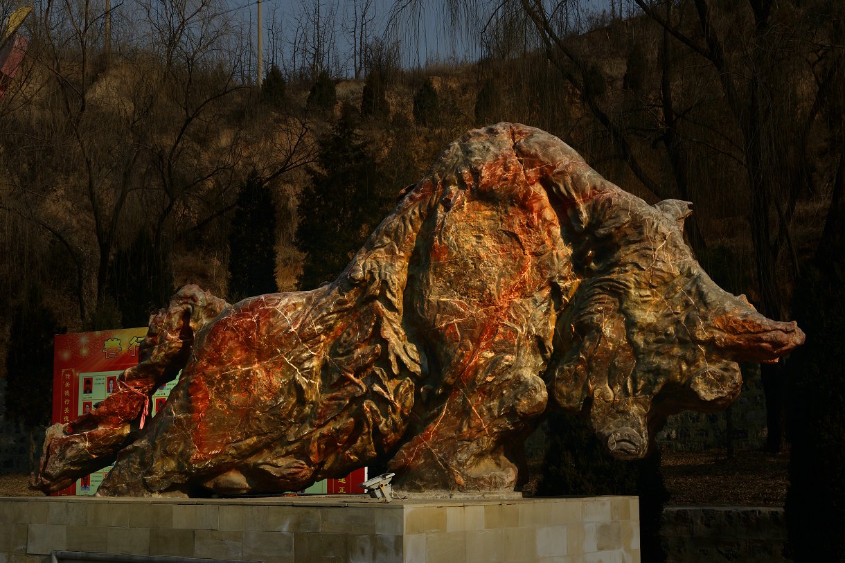D11647.jpg