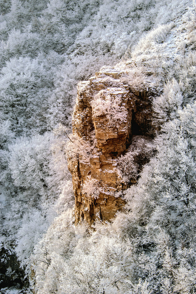 DSC_0399.jpg