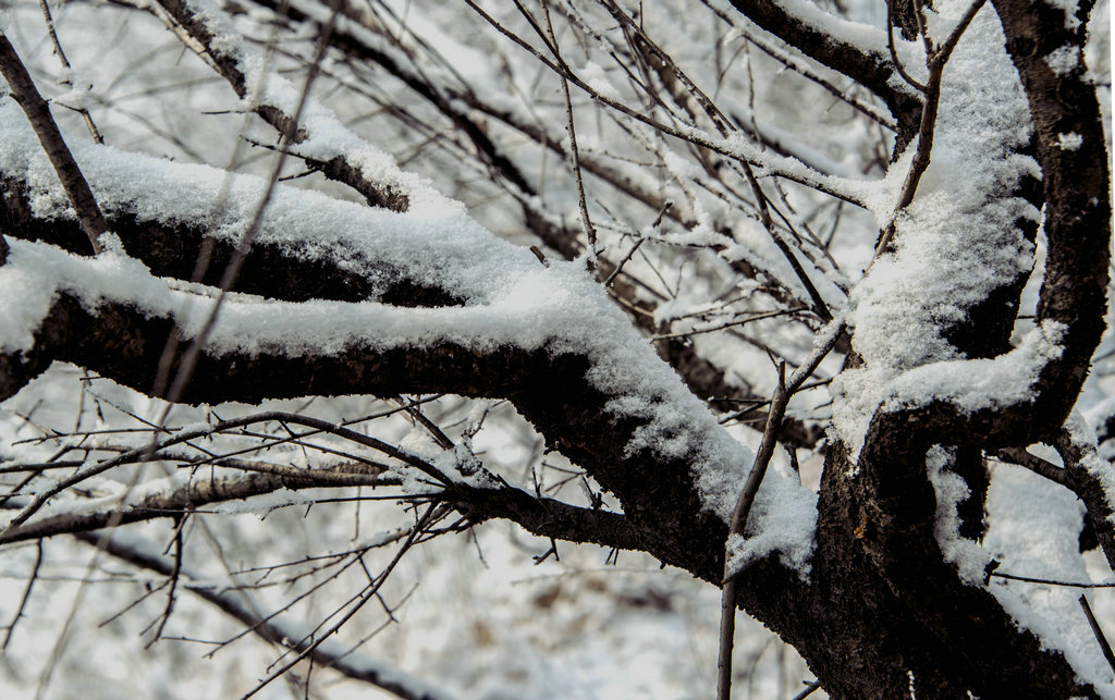 DSC_0430.jpg