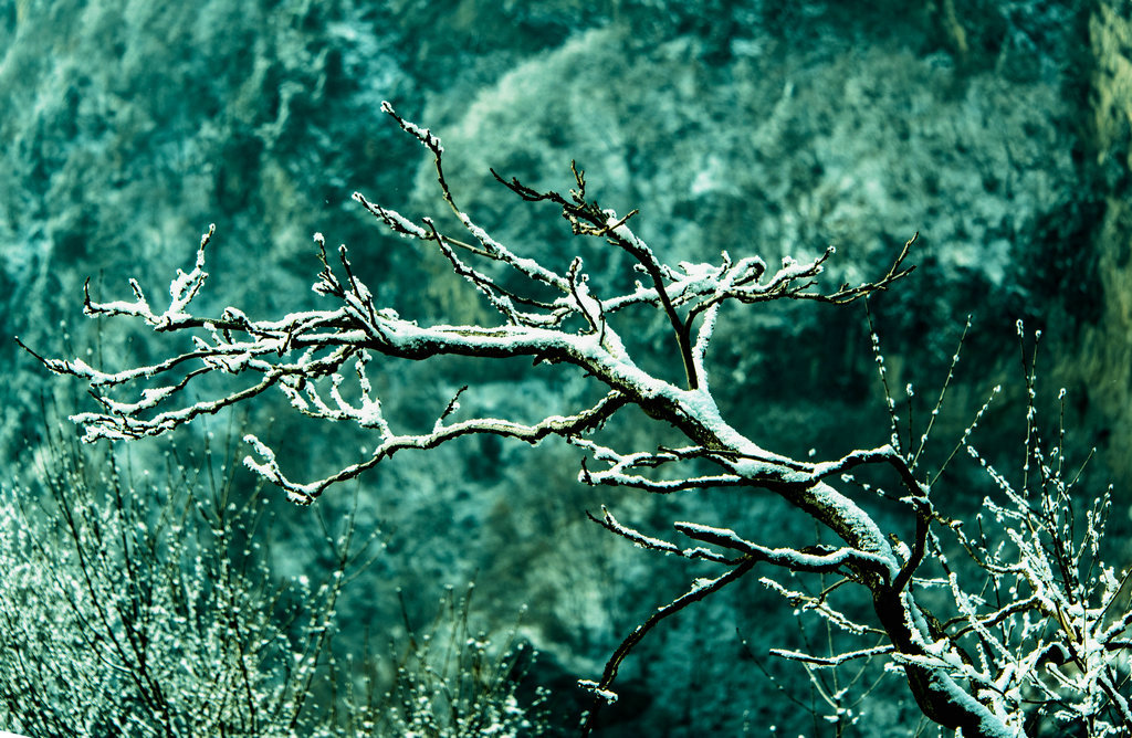 DSC_0432.jpg