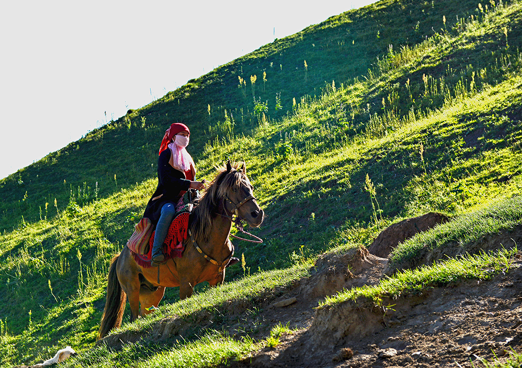 DSC_4639-1.jpg