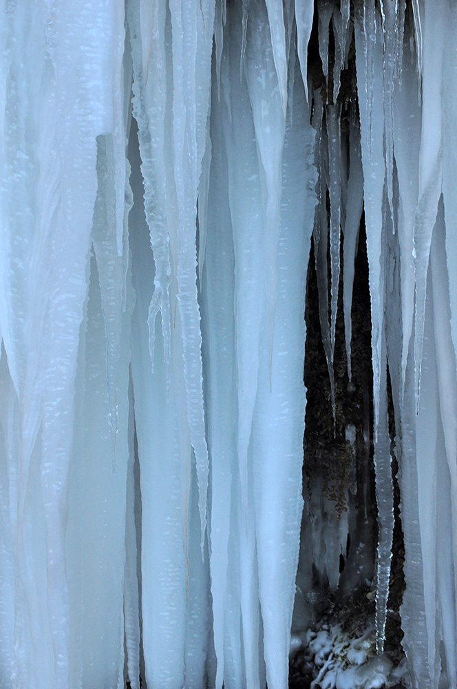 DSC_0007.JPG