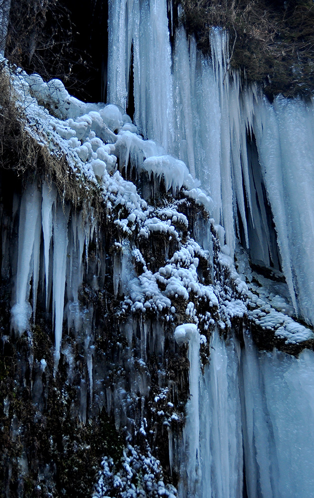 DSC_0022.JPG