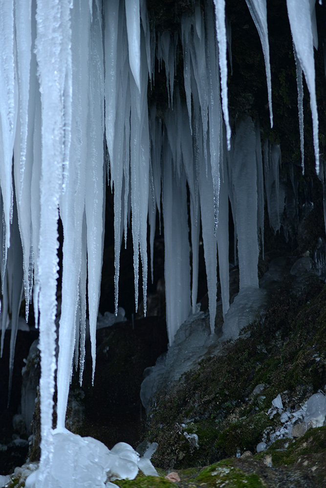 DSC_5285.JPG