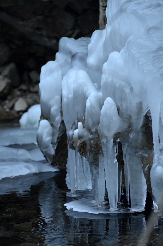 DSC_5295.JPG