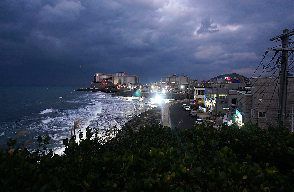 DSC02018.jpg