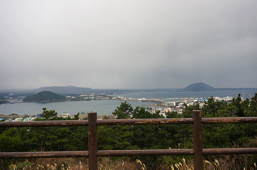 DSC02095.jpg