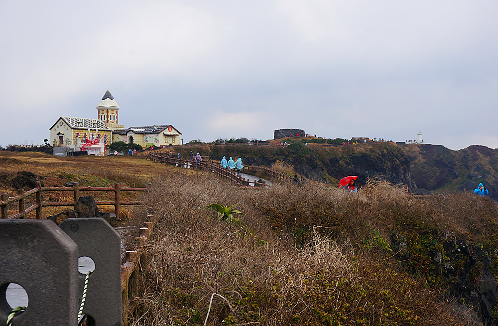 DSC02178.jpg