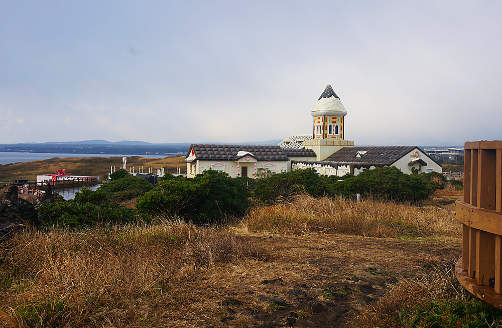 DSC02201.jpg