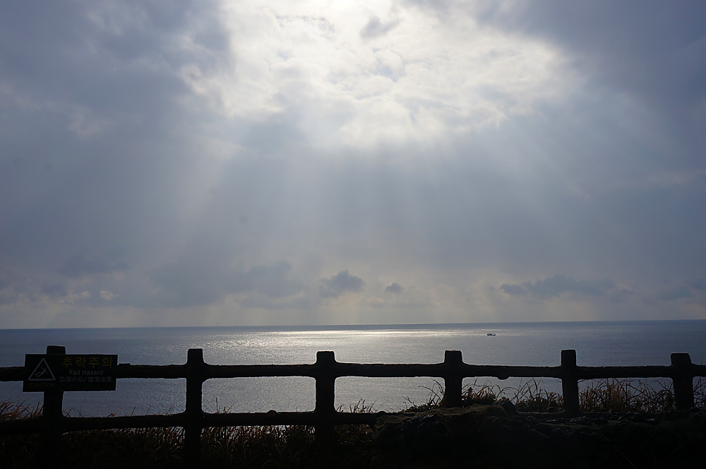 DSC02202.jpg