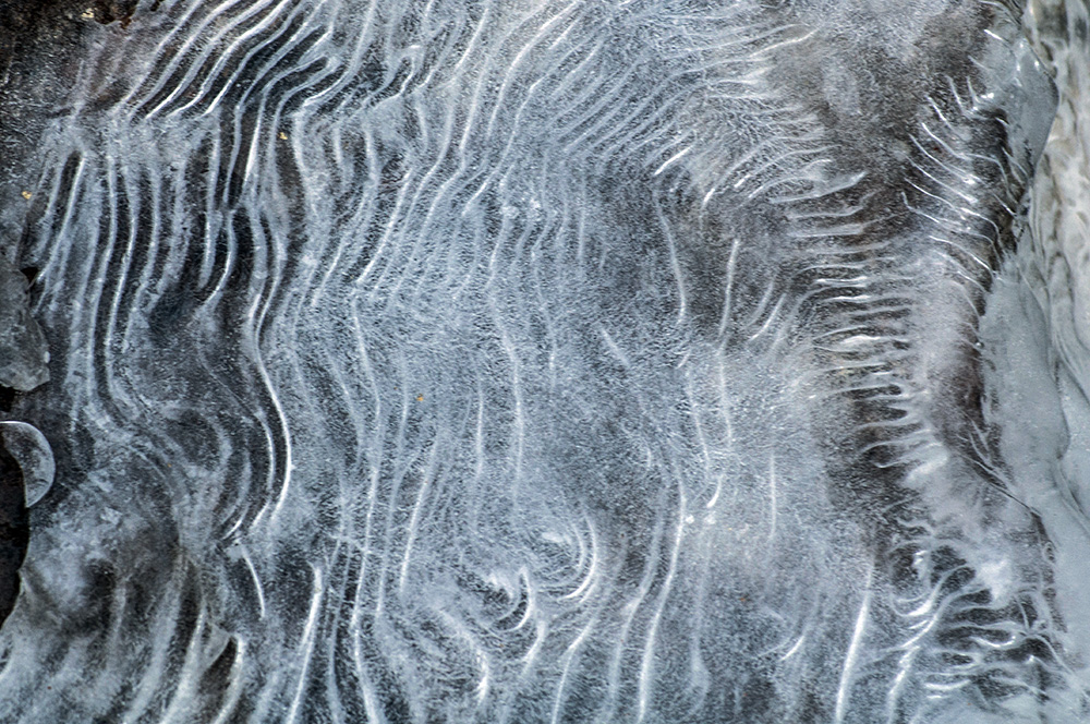 DSC_0043.jpg