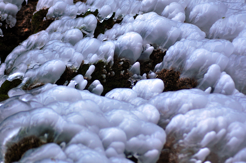 DSC_0056.JPG