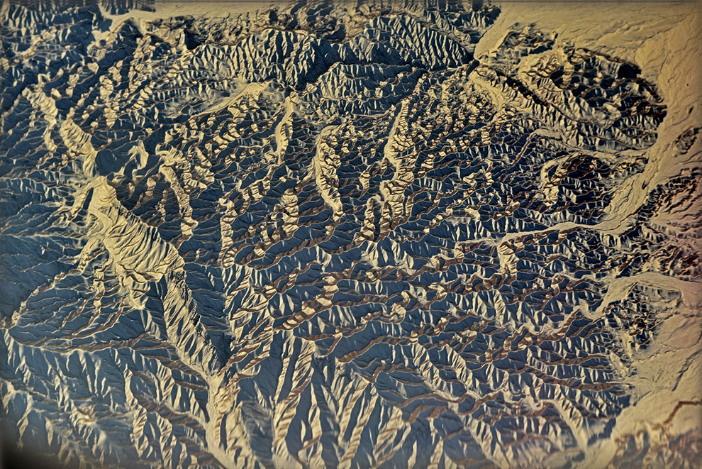 DSC_2066-1.jpg