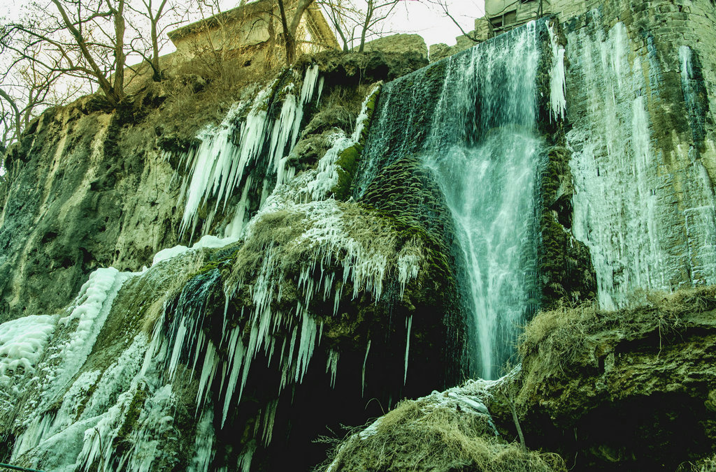 DSC_0250.jpg