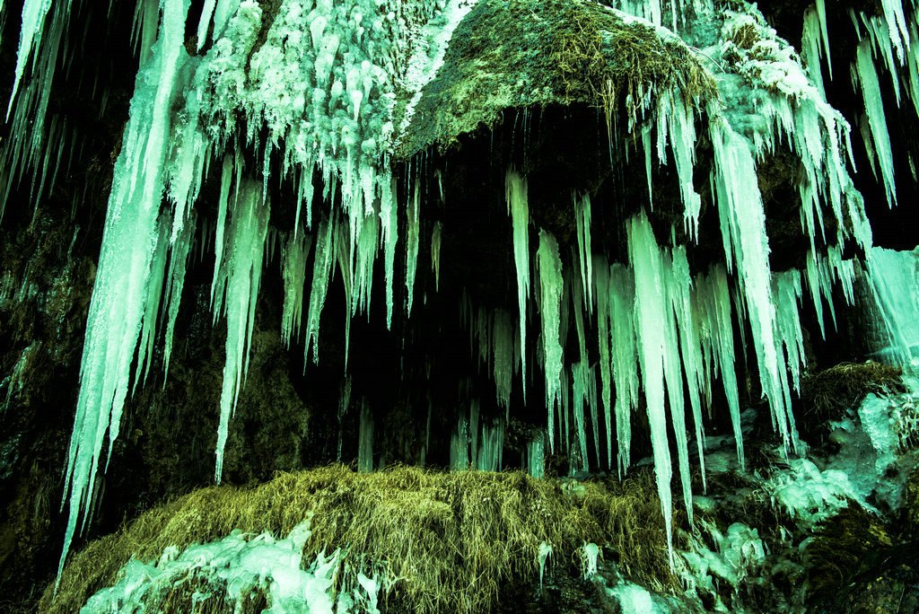 DSC_0257.jpg
