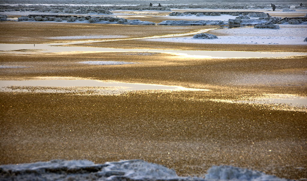 _DSC8763_ͼ.jpg