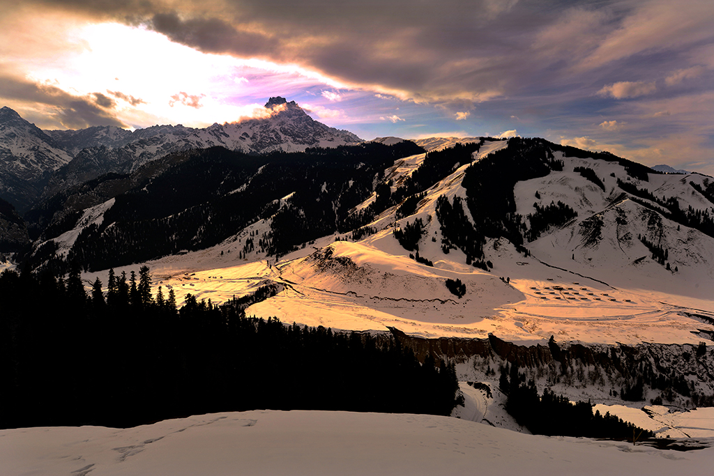 DSC_2295-1.jpg