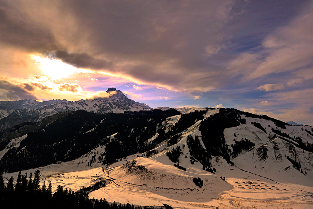 DSC_2298-1.jpg