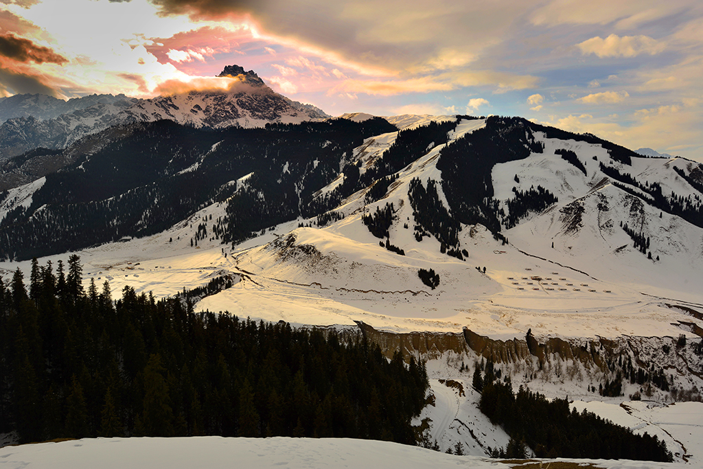 DSC_2302-1.jpg