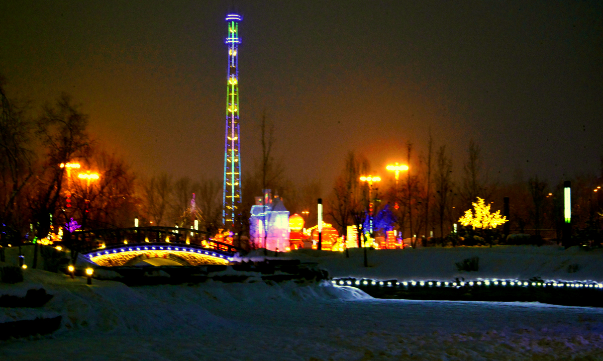 nEO_IMG__DSC7265.jpg