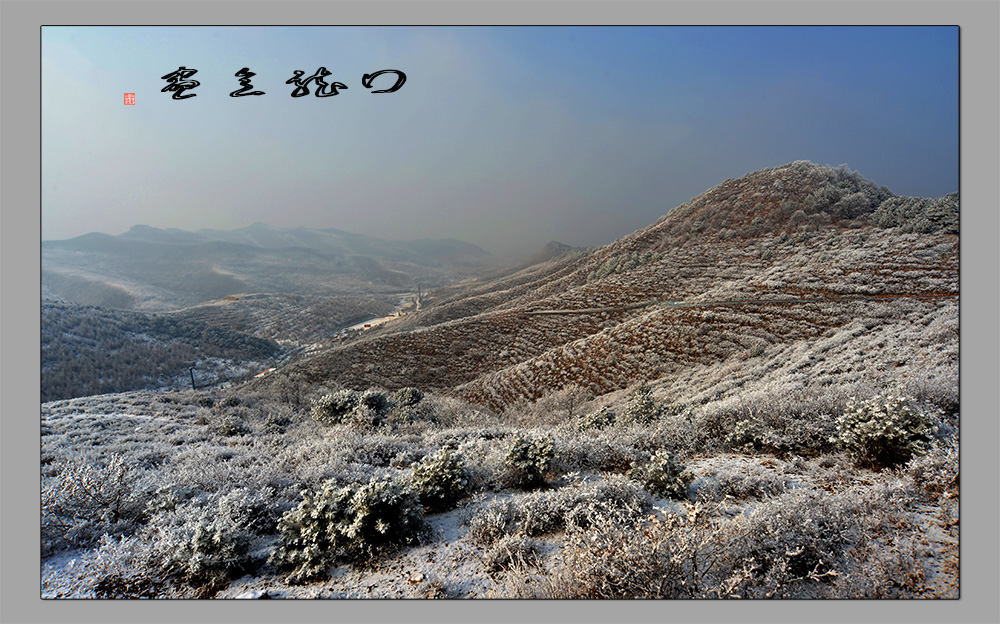 DSC_5178.JPG