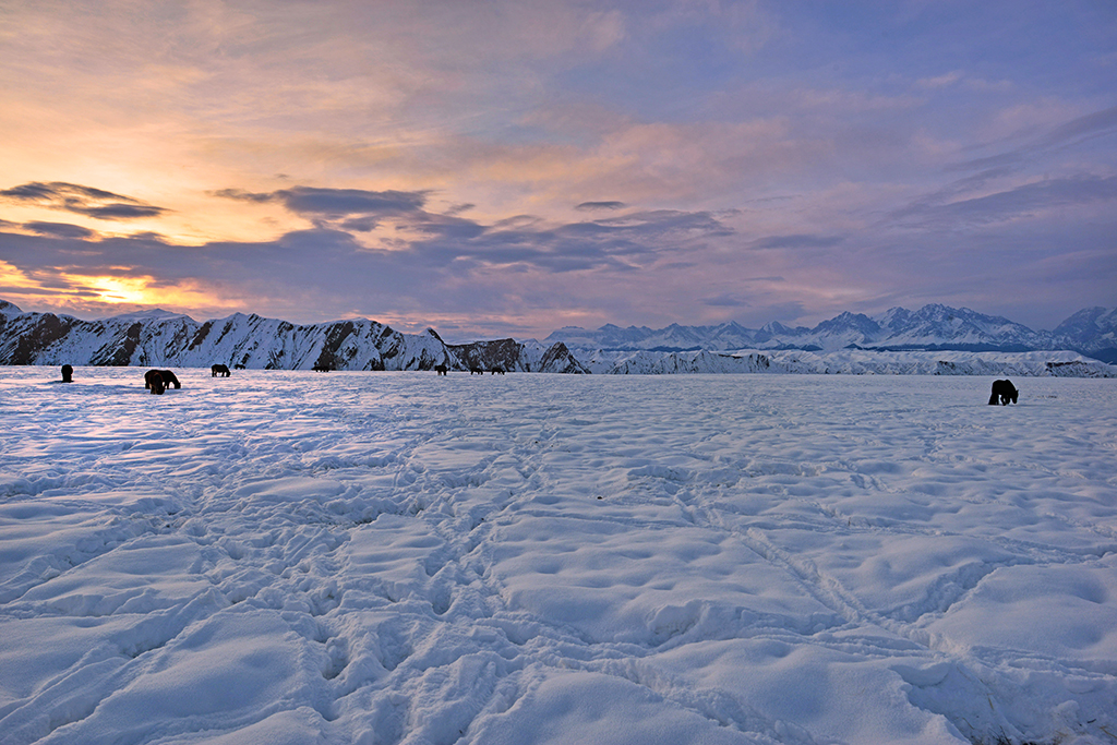 DSC_2120-1.jpg