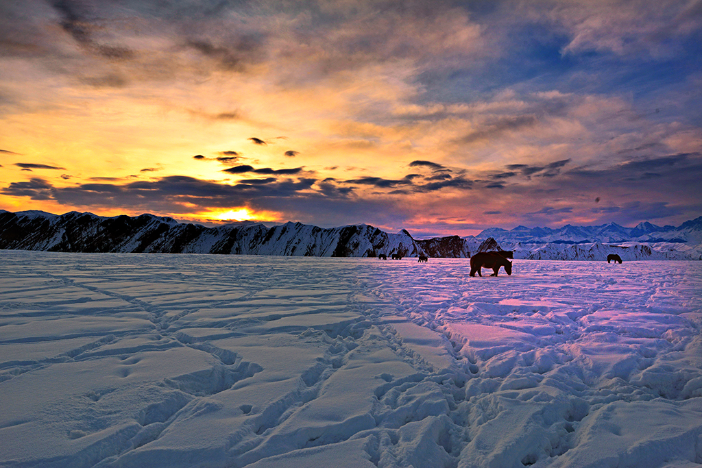 DSC_2131-1.jpg