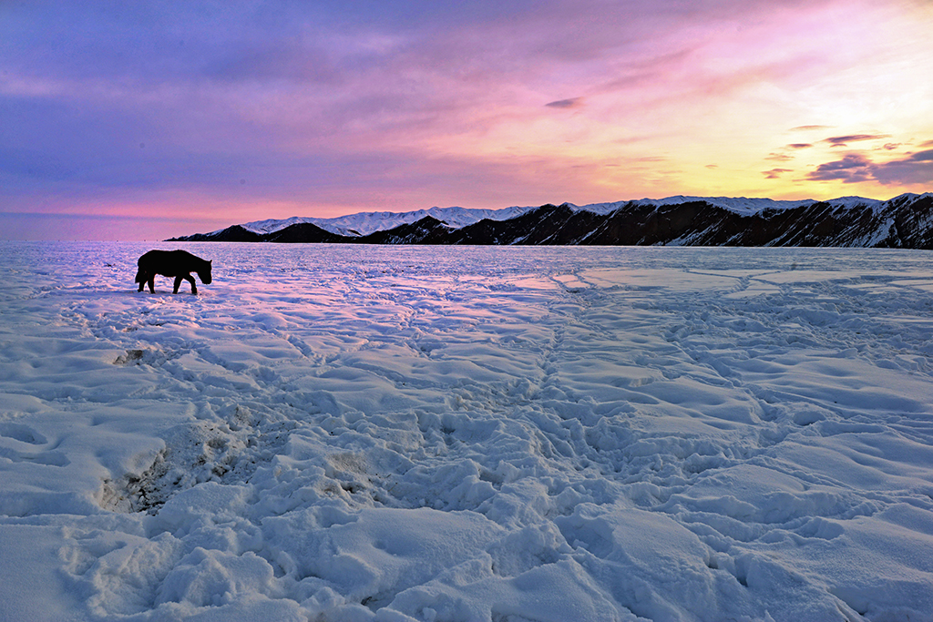 DSC_2132-1.jpg