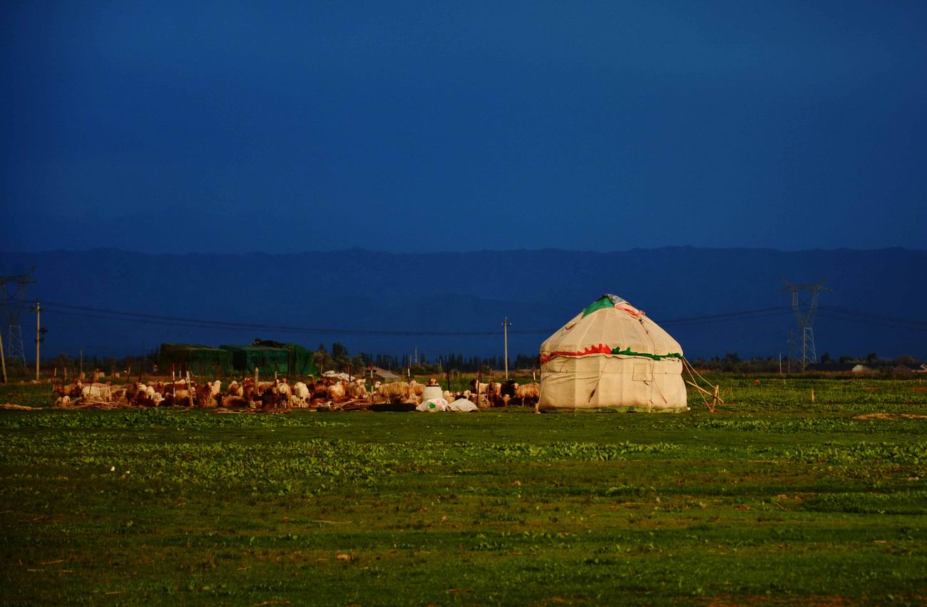 С DSC_6077.JPG