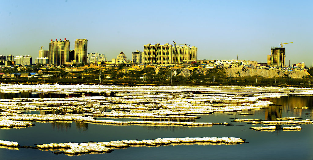 DSC_0036.jpg