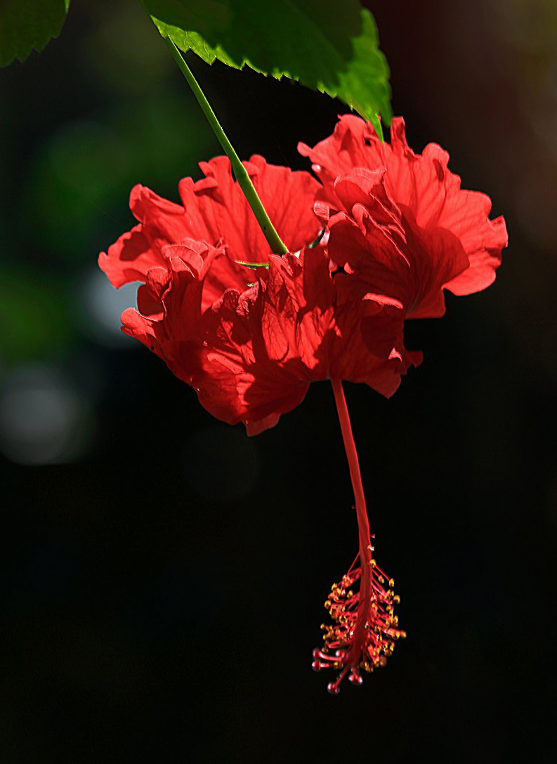 D3533.jpg