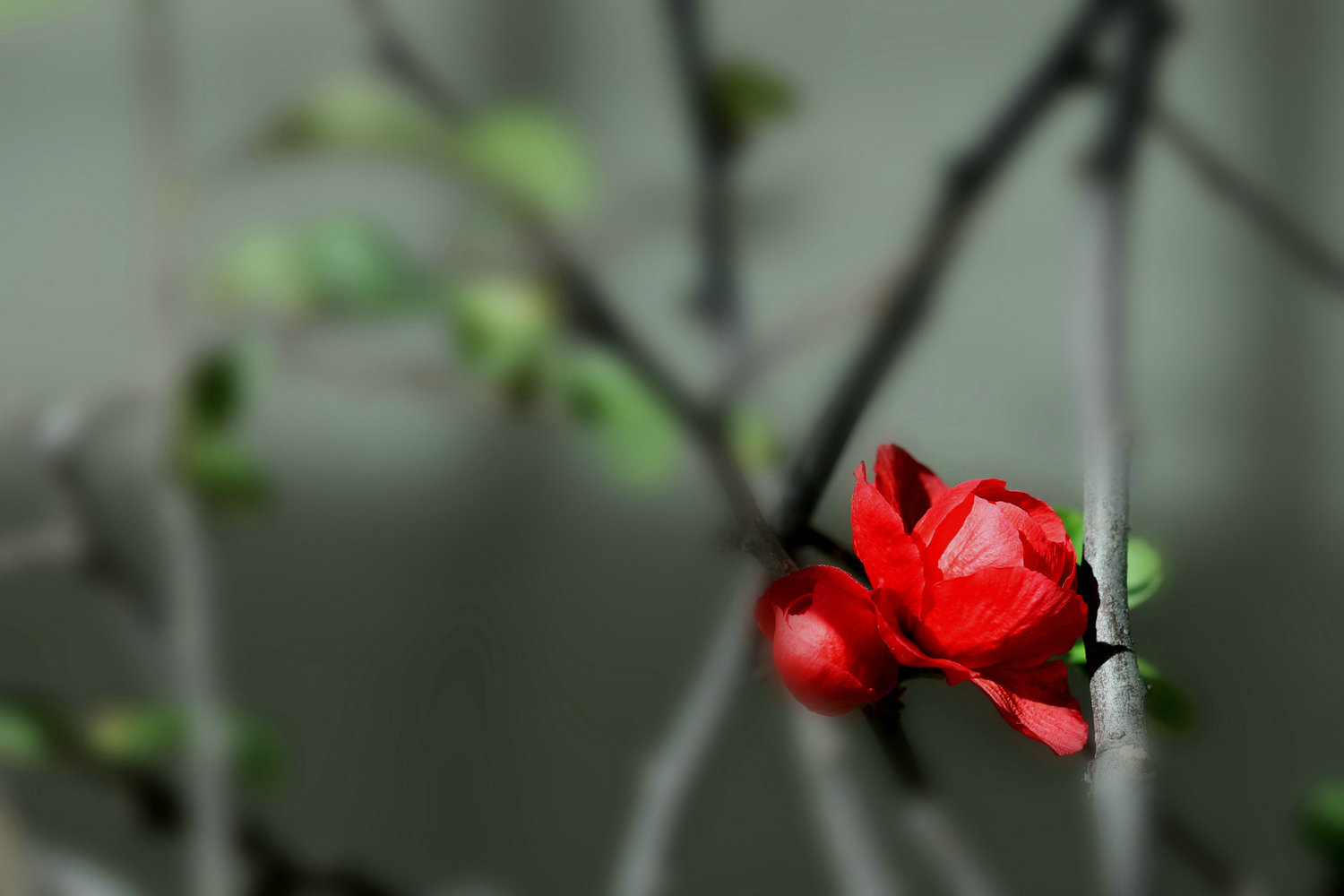 DI9A3949.jpg