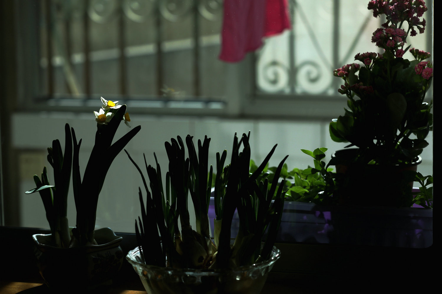DI9A3968.jpg