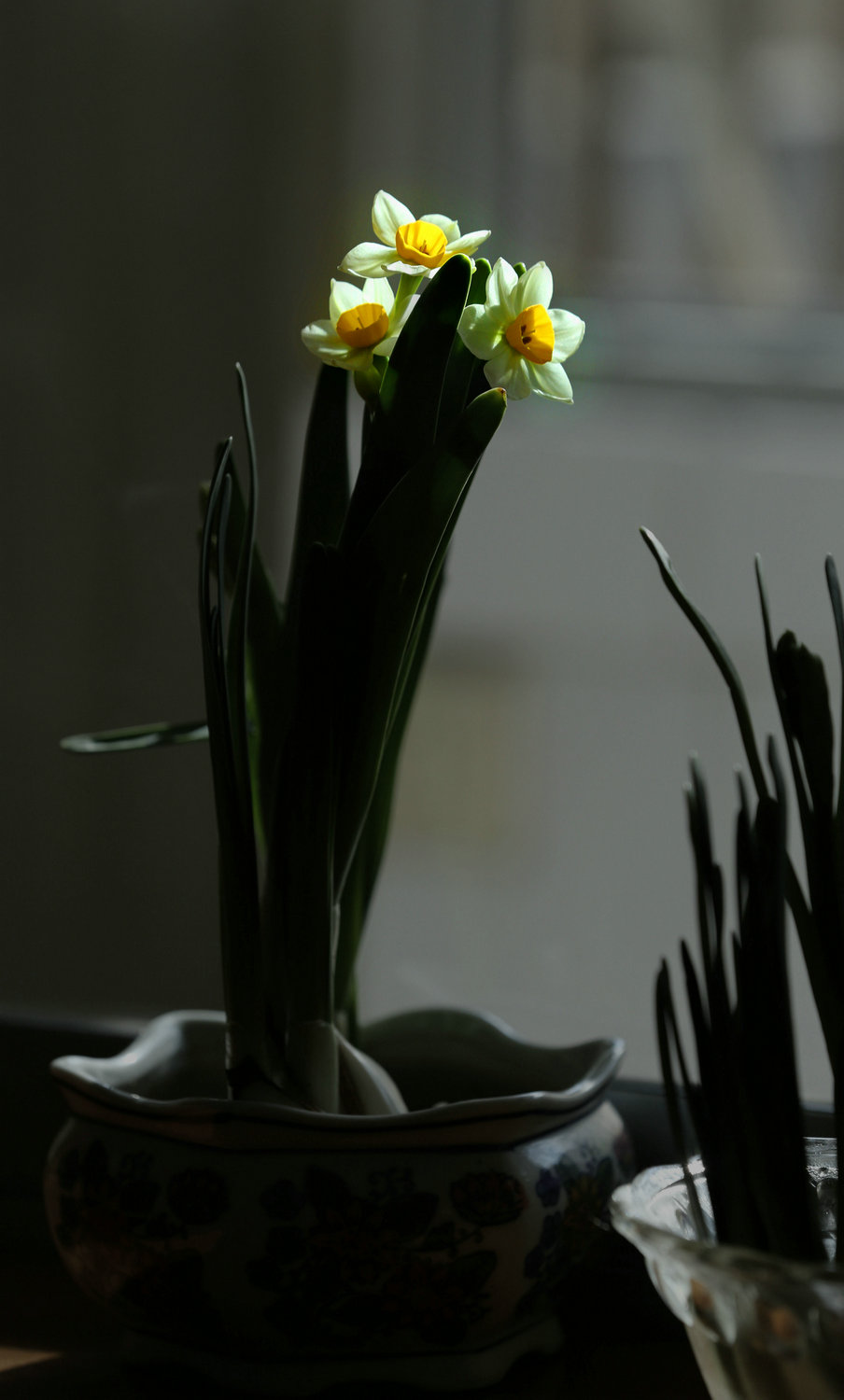 DI9A3979.jpg