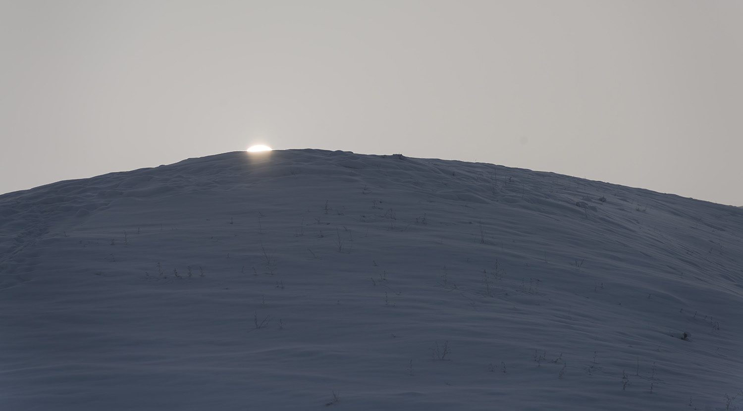 _DSC6517.JPG