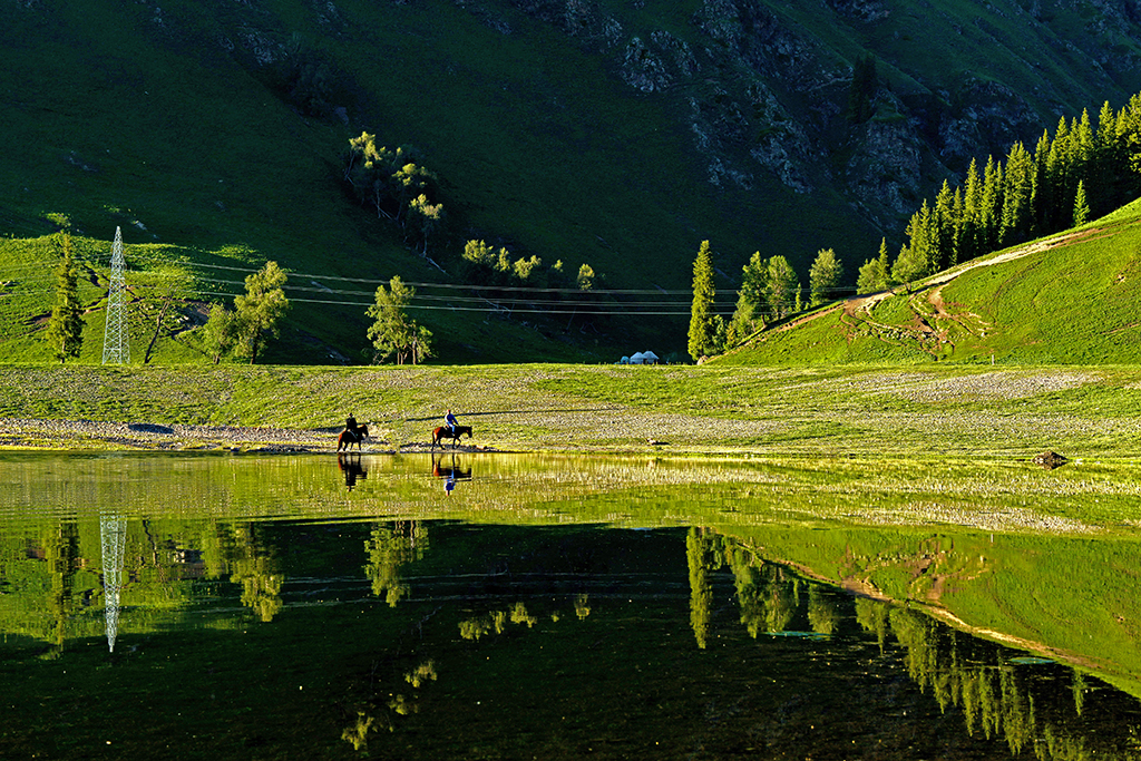 DSC_4885-1.jpg