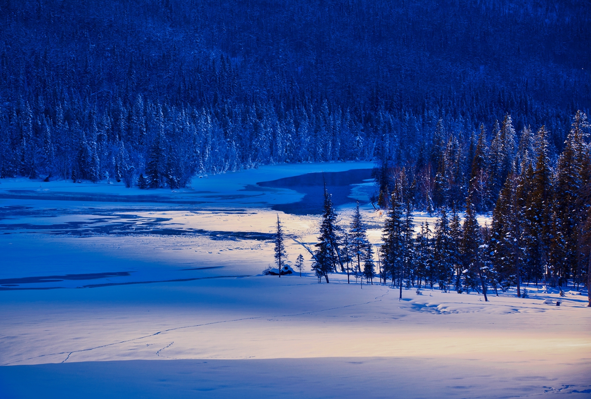 _MG_2524.jpg