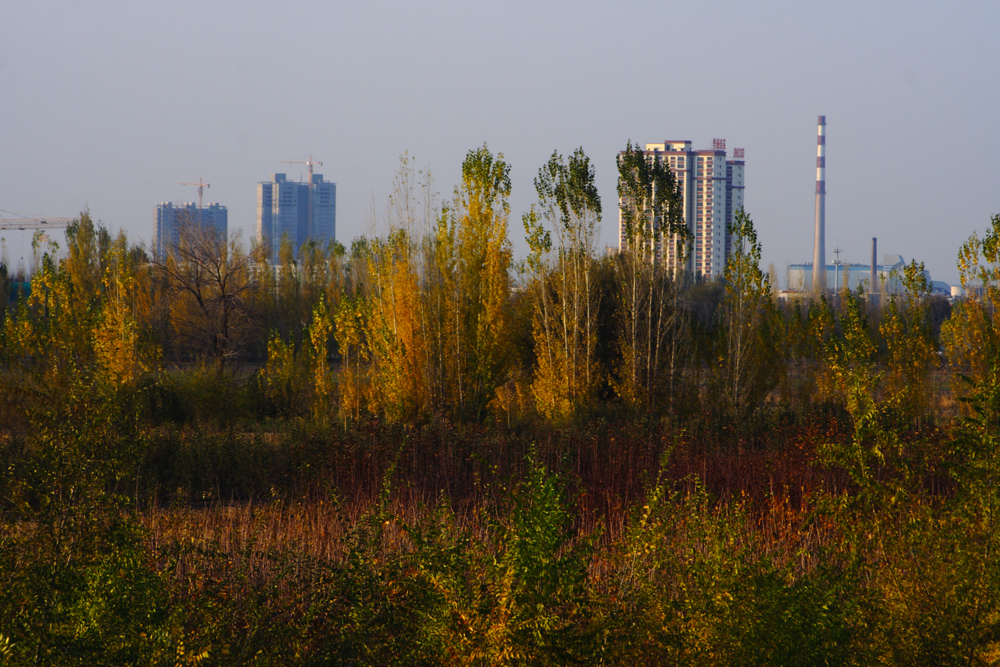 IMG_7652.jpg