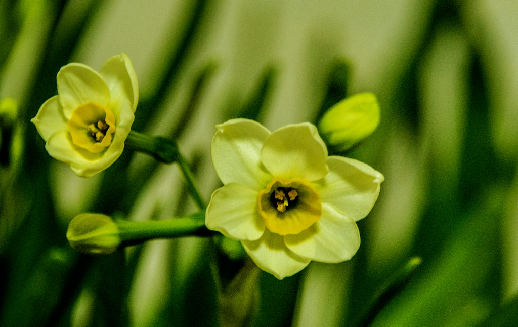 DSC_0279.jpg