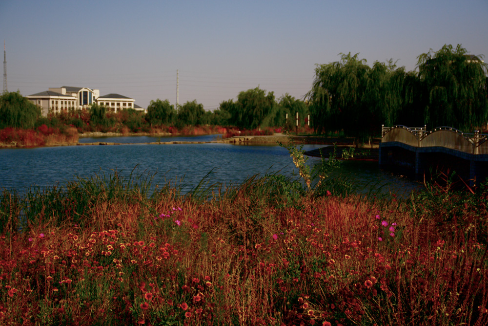 IMG_7290.jpg